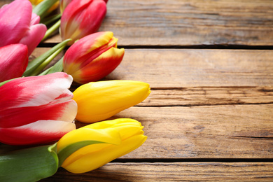 Beautiful spring tulips on wooden background, closeup. Space for text