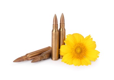 Photo of Bullets and beautiful flower isolated on white