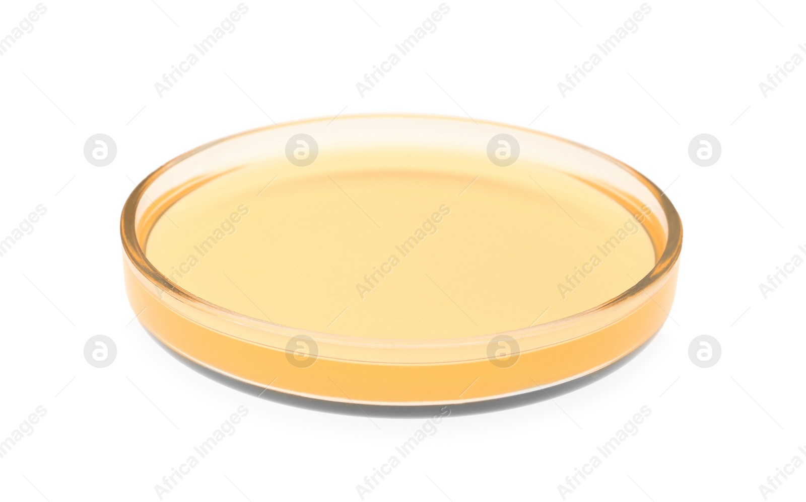 Photo of Petri dish with orange liquid isolated on white