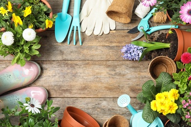 Photo of Flat lay composition with gardening equipment and flowers on wooden background, space for text