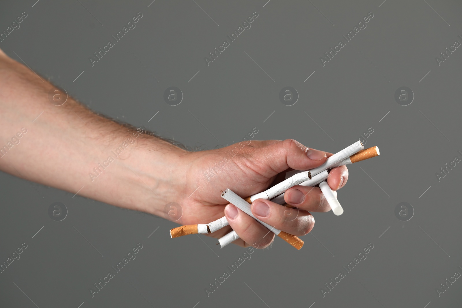 Photo of Stop smoking concept. Man holding cigarettes on gray background, closeup