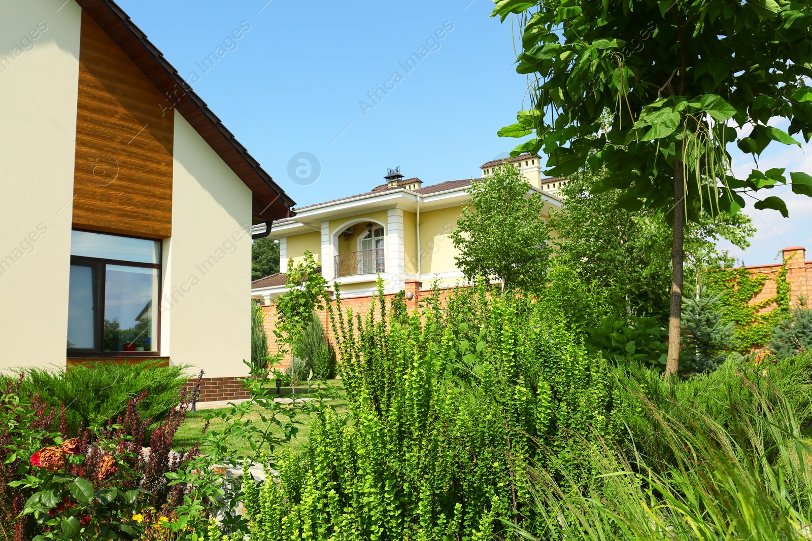 Photo of Beautiful green garden near modern house on sunny day