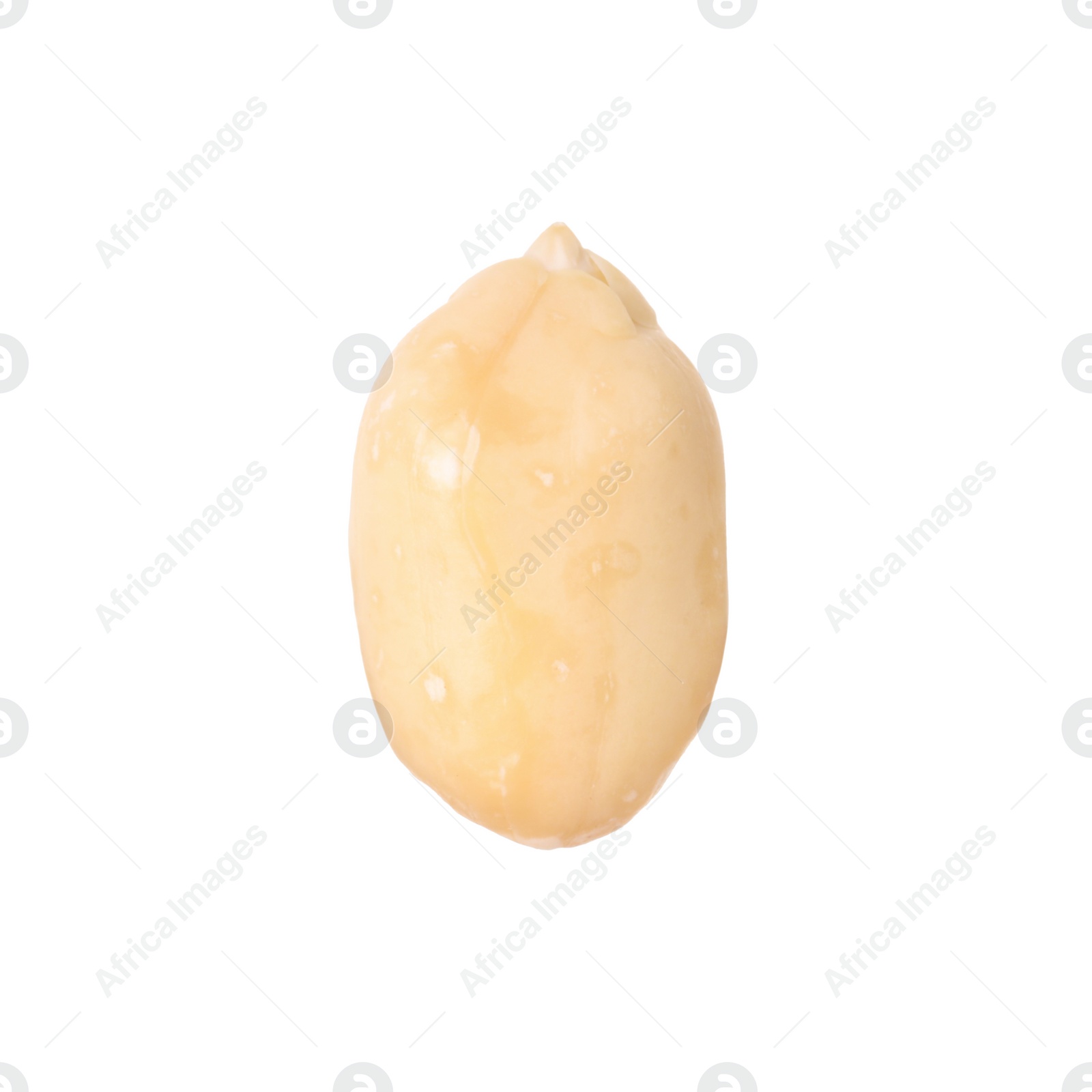 Photo of One fresh peeled peanut isolated on white