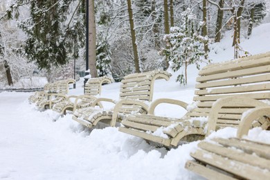 Photo of Beautiful trees covered with snow and benches in winter park