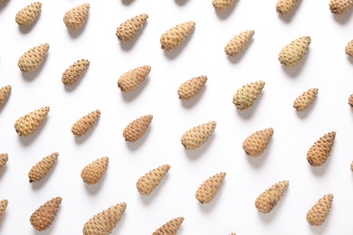 Photo of Many pinecones on white background, flat lay