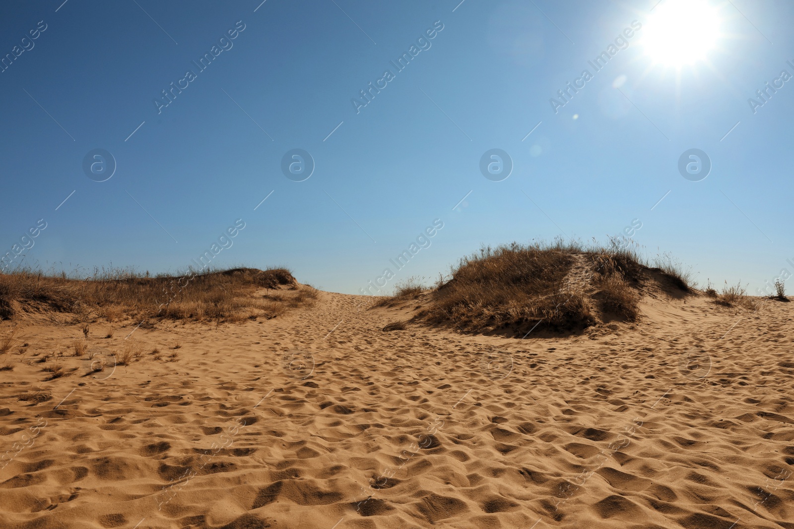 Photo of Picturesque view of desert on sunny day