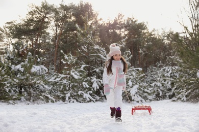 Photo of Cute little girl with sleigh outdoors on winter day