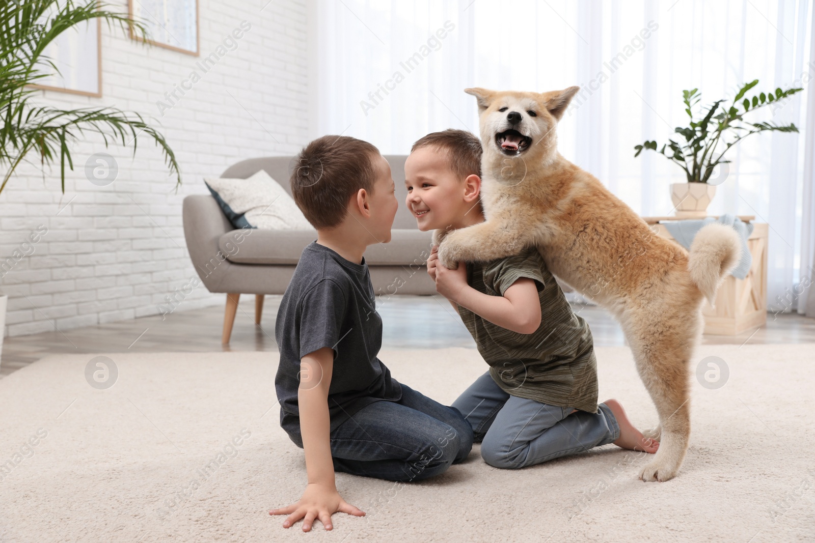 Photo of Happy boys with Akita Inu dog on floor in living room. Little friends