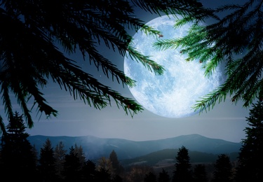 Image of Fantasy landscape. Full moon in starry sky over mountains, view through branches