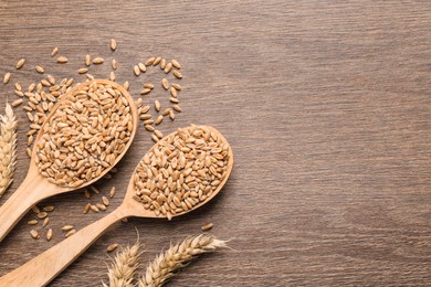 Photo of Wheat grains in spoons and spikes on wooden table, flat lay. Space for text