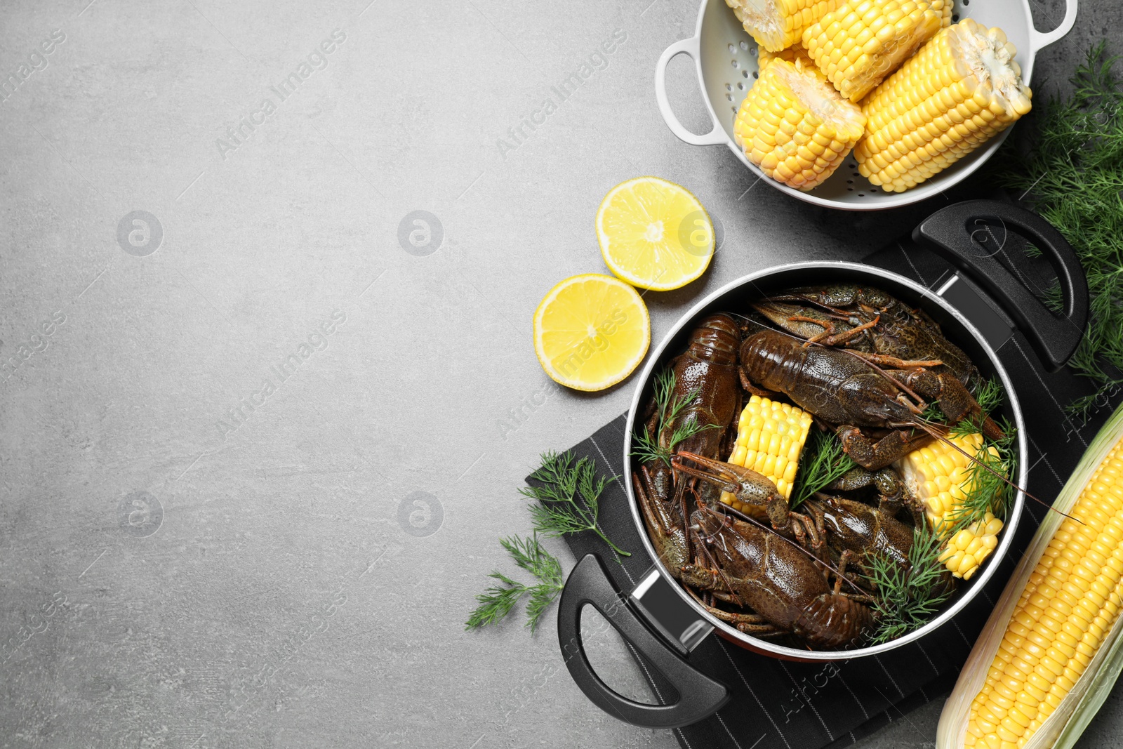 Photo of Fresh raw crayfishes with corn cobs in pot on grey table, flat lay. Space for text