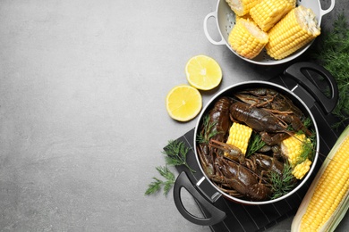 Photo of Fresh raw crayfishes with corn cobs in pot on grey table, flat lay. Space for text