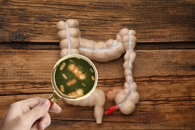 Image of Microorganisms research. Woman with magnifying glass and anatomical model of intestine on wooden background, top view