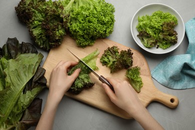 Photo of Woman cutting red leaf lettuce at light grey table, top view