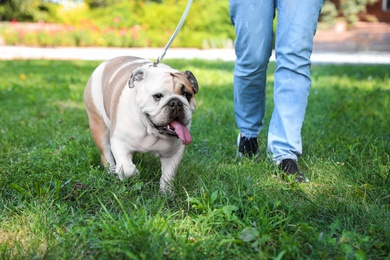 Photo of Woman walking her funny English bulldog in park, closeup