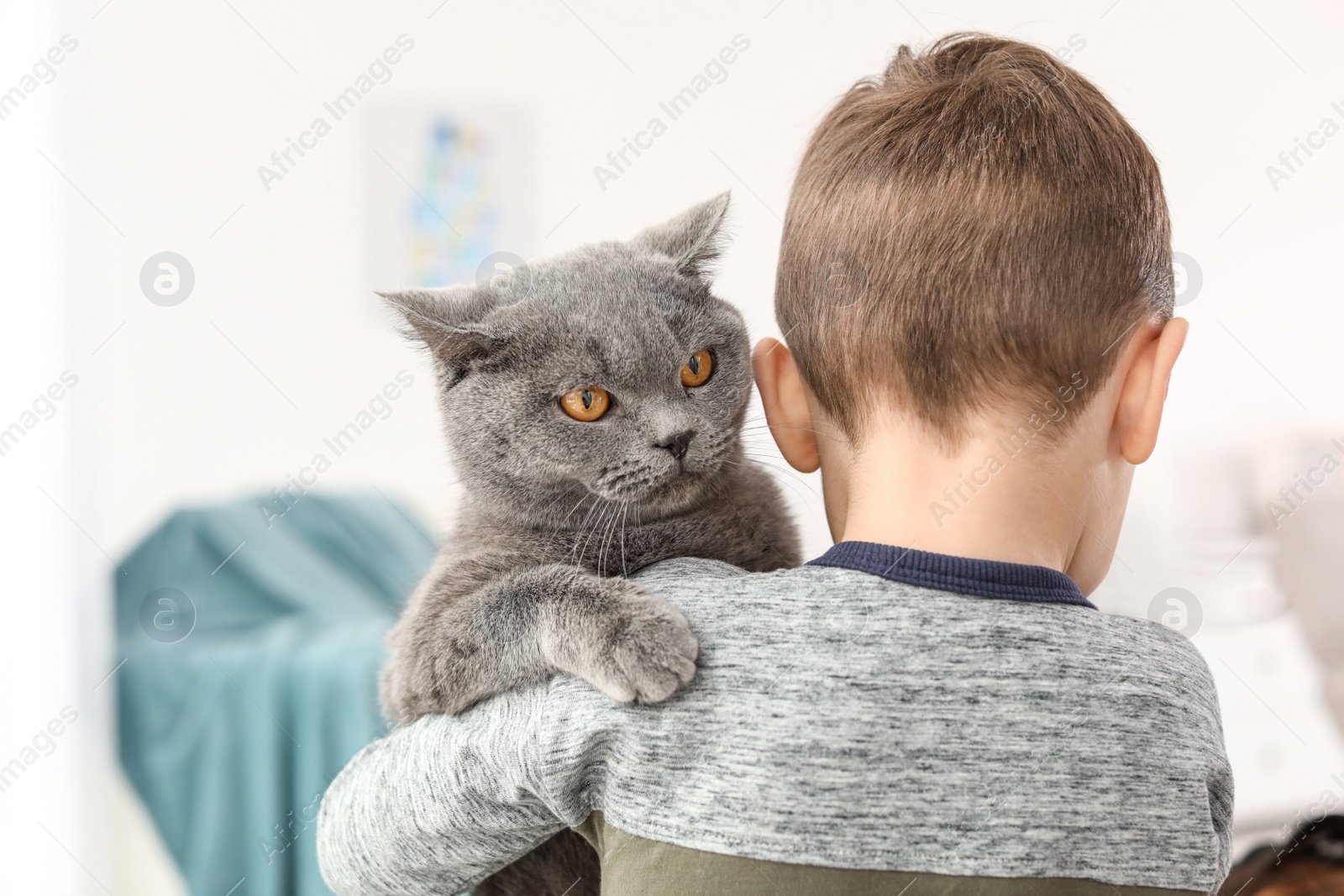 Photo of Little child holding cute cat at home