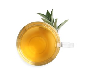 Photo of Cup of aromatic sage tea and fresh leaves on white background, top view