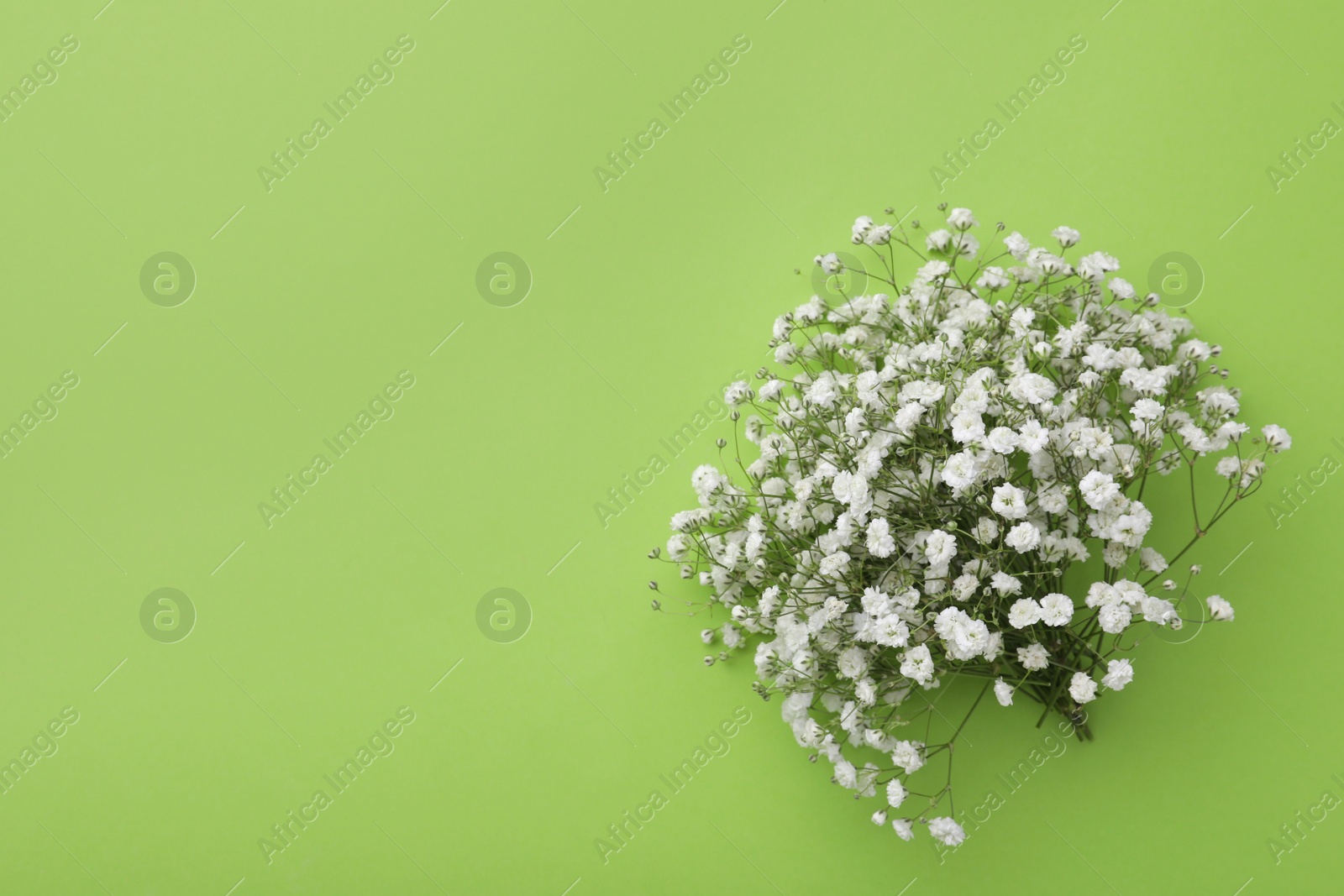 Photo of Beautiful bouquet of white gypsophila flowers on light green background, top view. Space for text