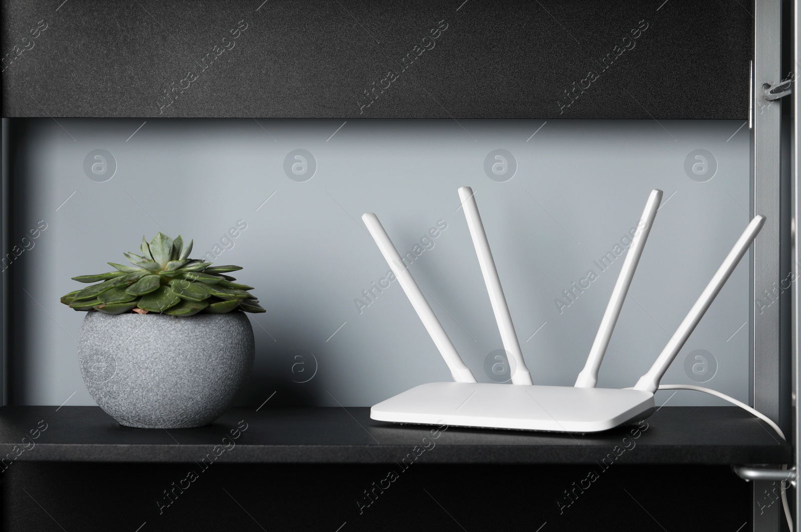 Photo of New white Wi-Fi router near potted plant on black shelf