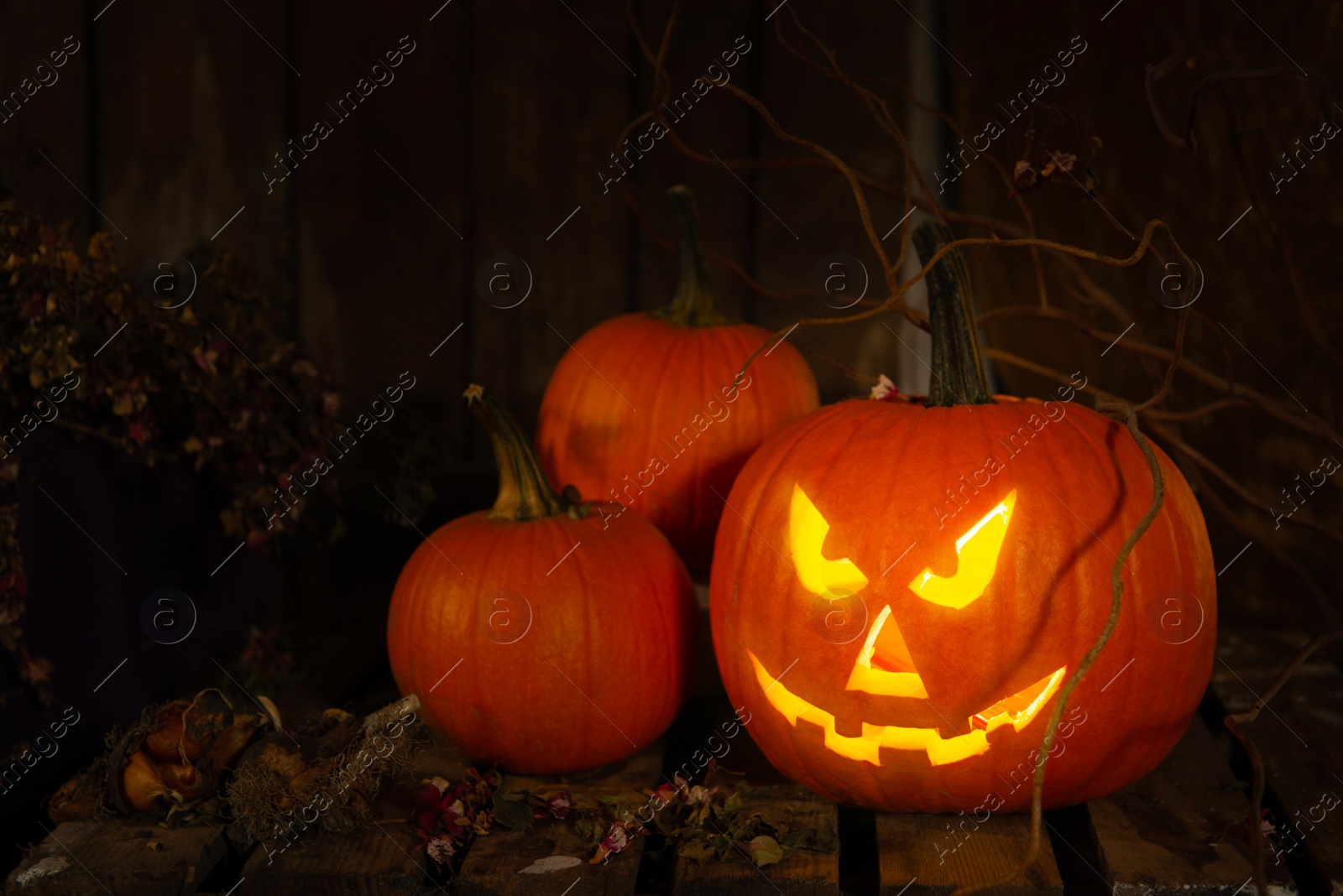 Photo of Scary jack o'lantern pumpkin on wooden bench in darkness, space for text. Halloween decor