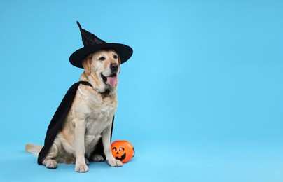 Photo of Cute Labrador Retriever dog in black cloak and hat with Halloween bucket on light blue background. Space for text