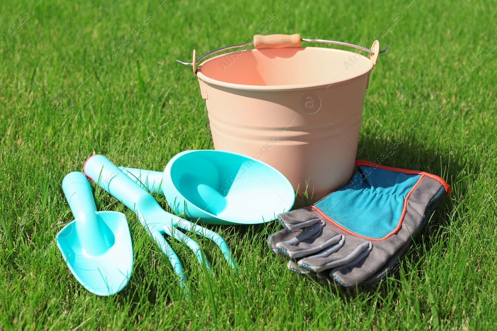 Photo of Set of gardening tools on green grass