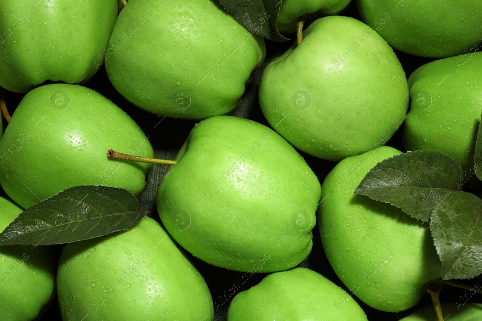 Photo of Fresh green apples and leaves with water drops on dark cloth, top view