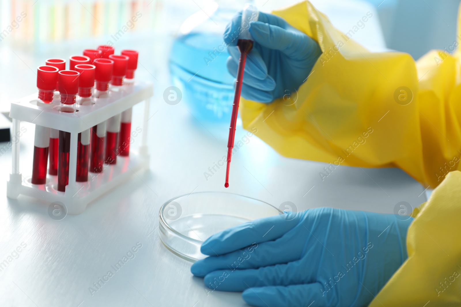 Photo of Scientist in chemical protective suit dripping blood sample into Petri dish at table, closeup. Virus research