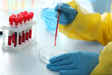 Scientist in chemical protective suit dripping blood sample into Petri dish at table, closeup. Virus research