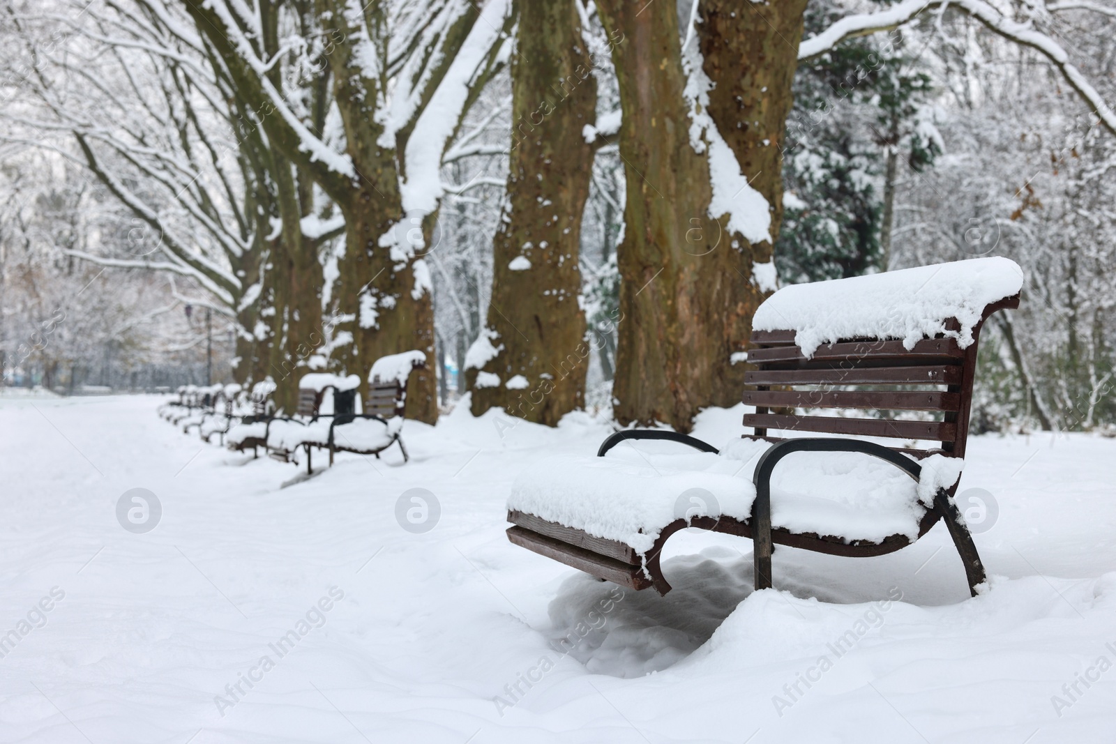 Photo of Benches covered with snow and trees in winter park, space for text