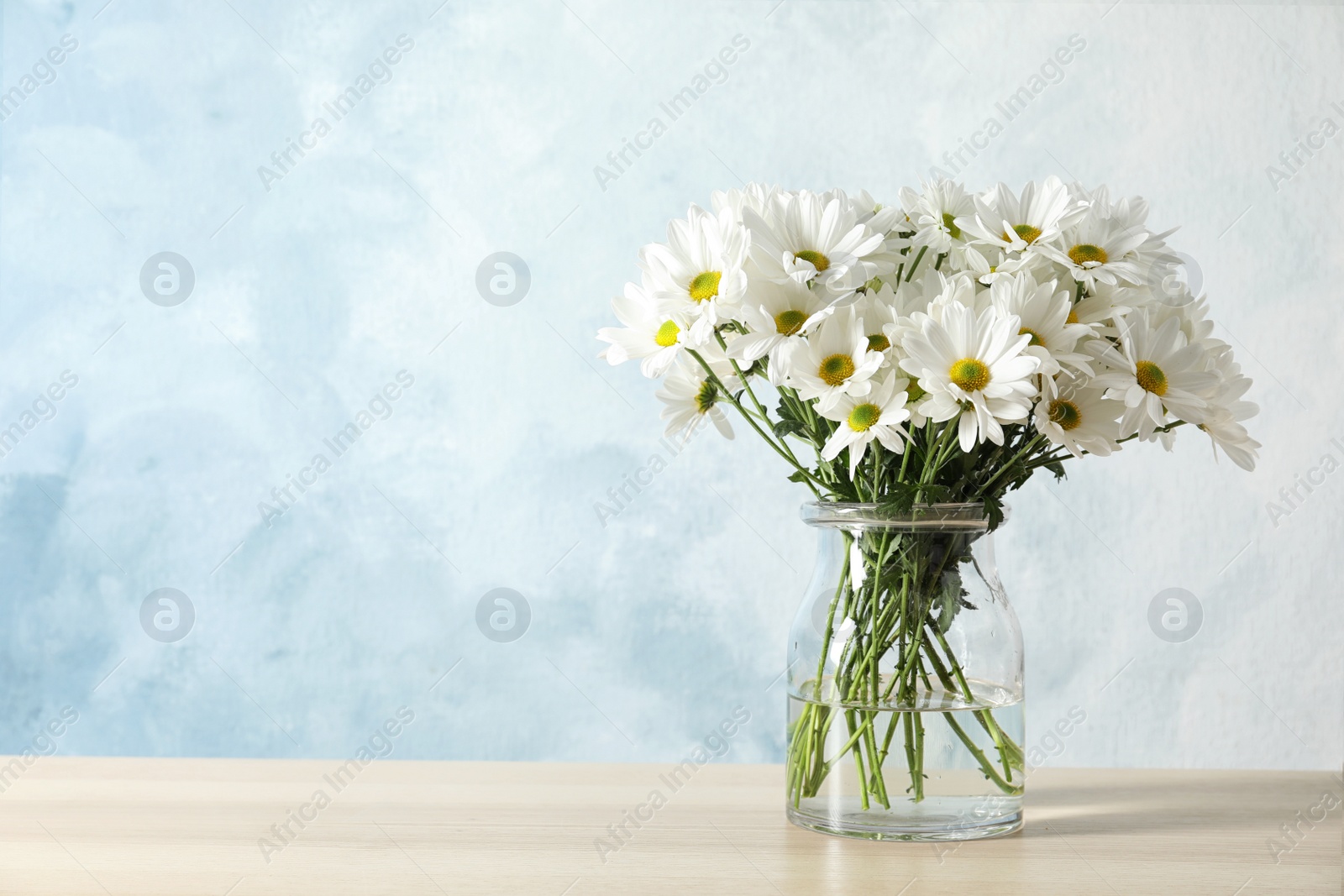 Photo of Vase with beautiful chamomile flowers on table against color background. Space for text
