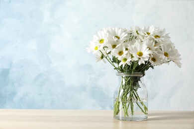 Vase with beautiful chamomile flowers on table against color background. Space for text