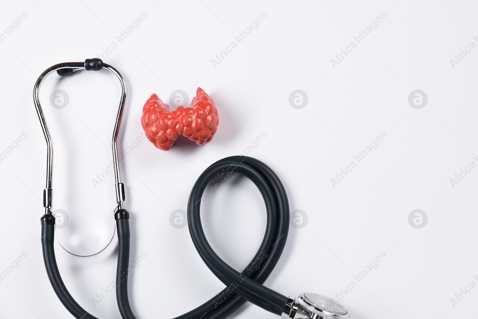 Photo of Endocrinology. Stethoscope and model of thyroid gland on white background, top view. Space for text