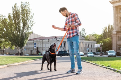 Photo of Owner walking his brown labrador retriever outdoors