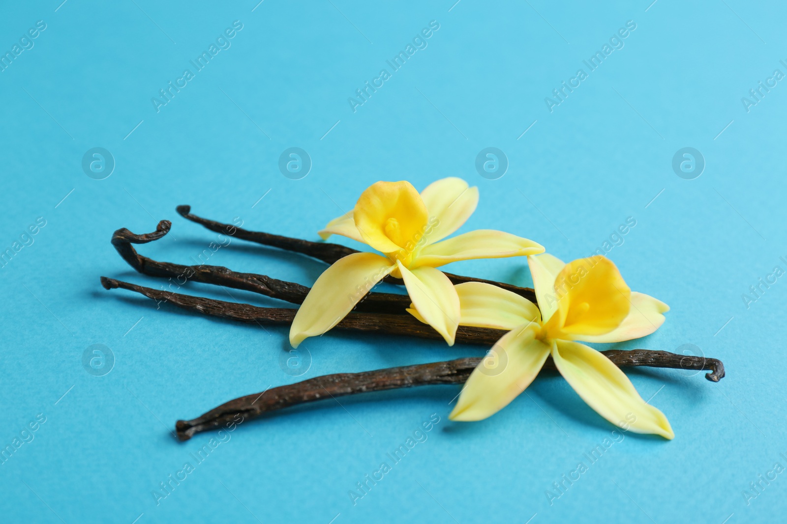 Photo of Vanilla sticks and flowers on blue background