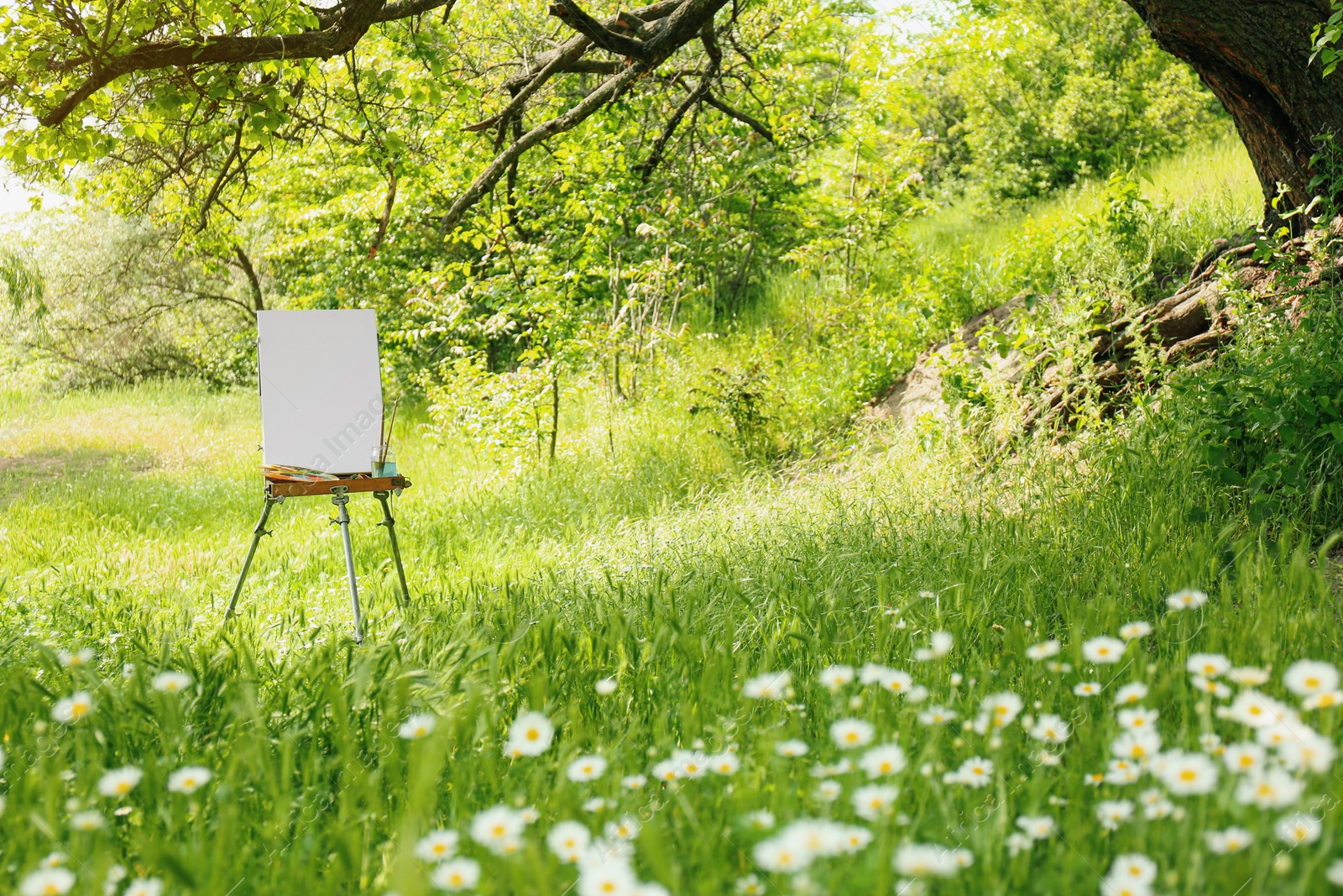 Photo of Easel with blank canvas and painting equipment in picturesque countryside
