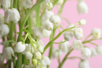 Beautiful lily of the valley flowers on pink background, closeup