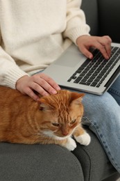 Woman working with laptop and petting cute cat on sofa at home, closeup