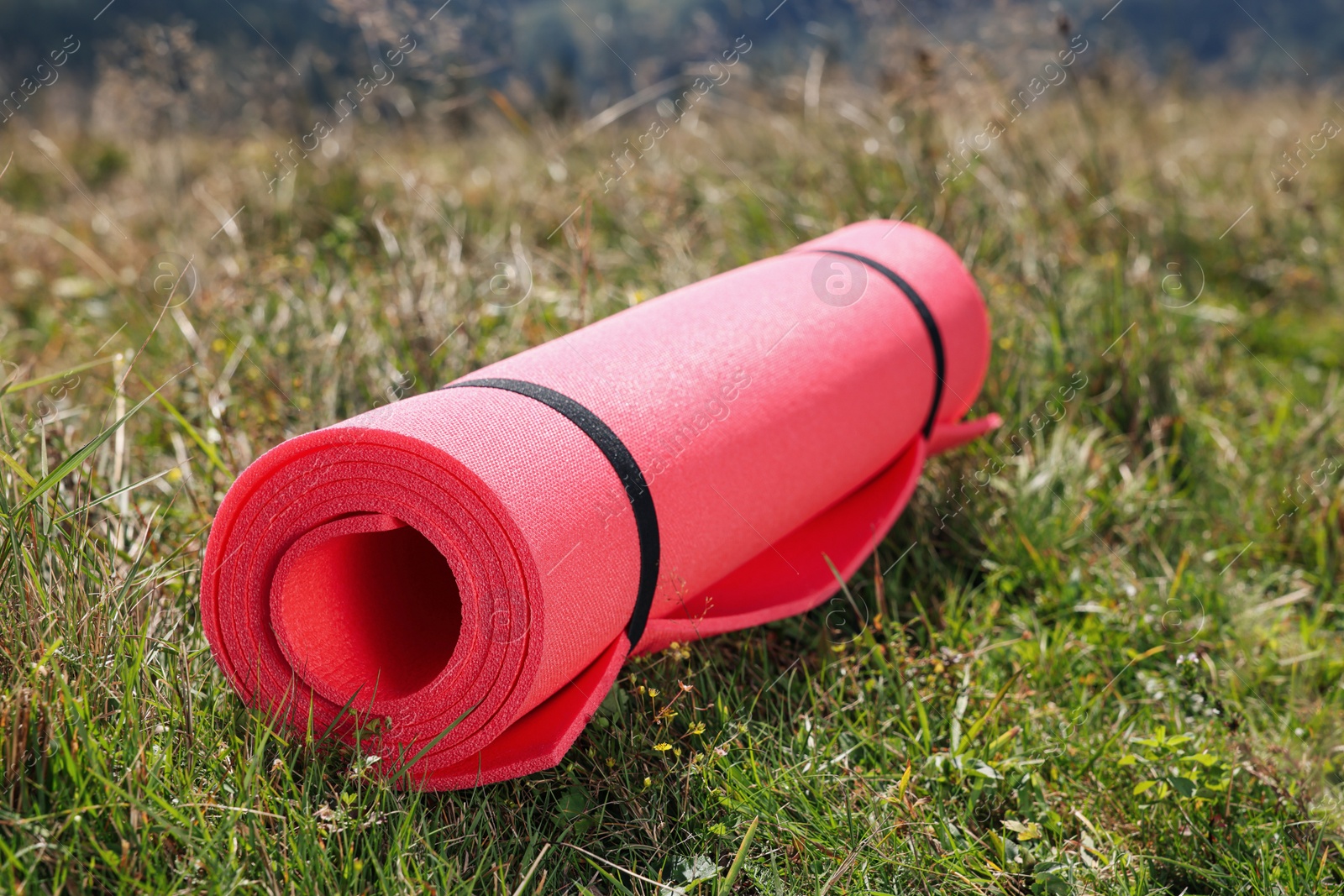 Photo of Rolled pink soft sleeping pad on grass