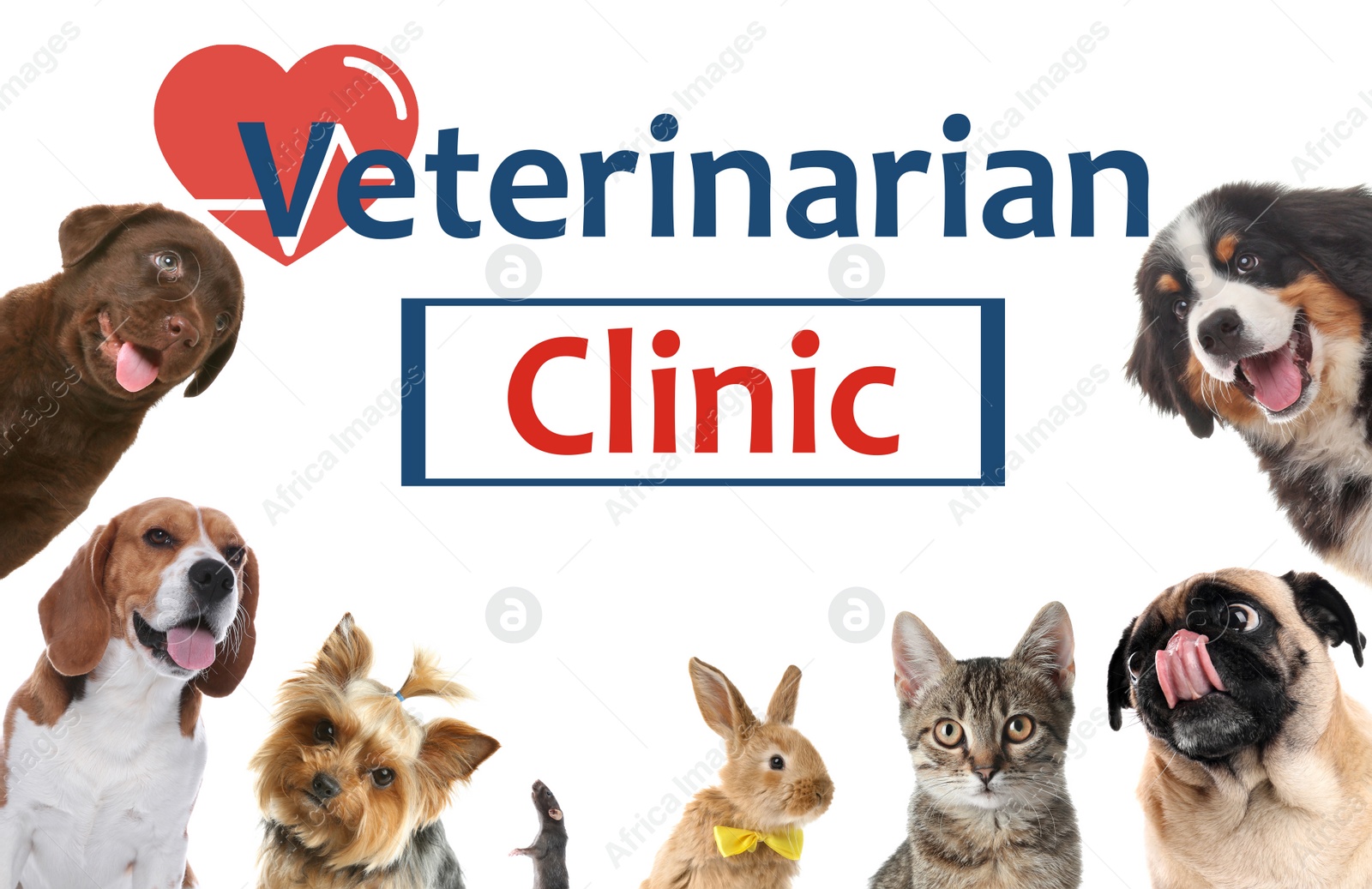 Image of Collage with different cute pets and text Veterinarian Clinic on white background