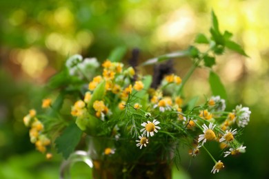 Bouquet of different fresh herbs on blurred background, closeup