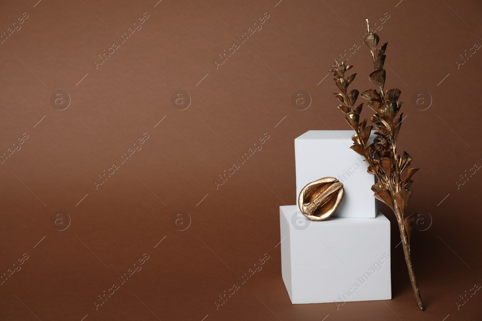 Photo of Autumn presentation for product. White geometric figures, golden branches with leaves and half of walnut on brown background, space for text