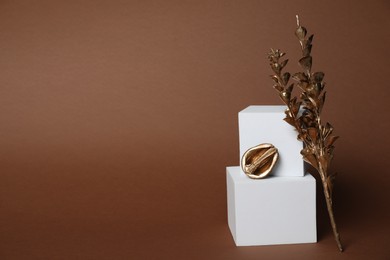 Autumn presentation for product. White geometric figures, golden branches with leaves and half of walnut on brown background, space for text