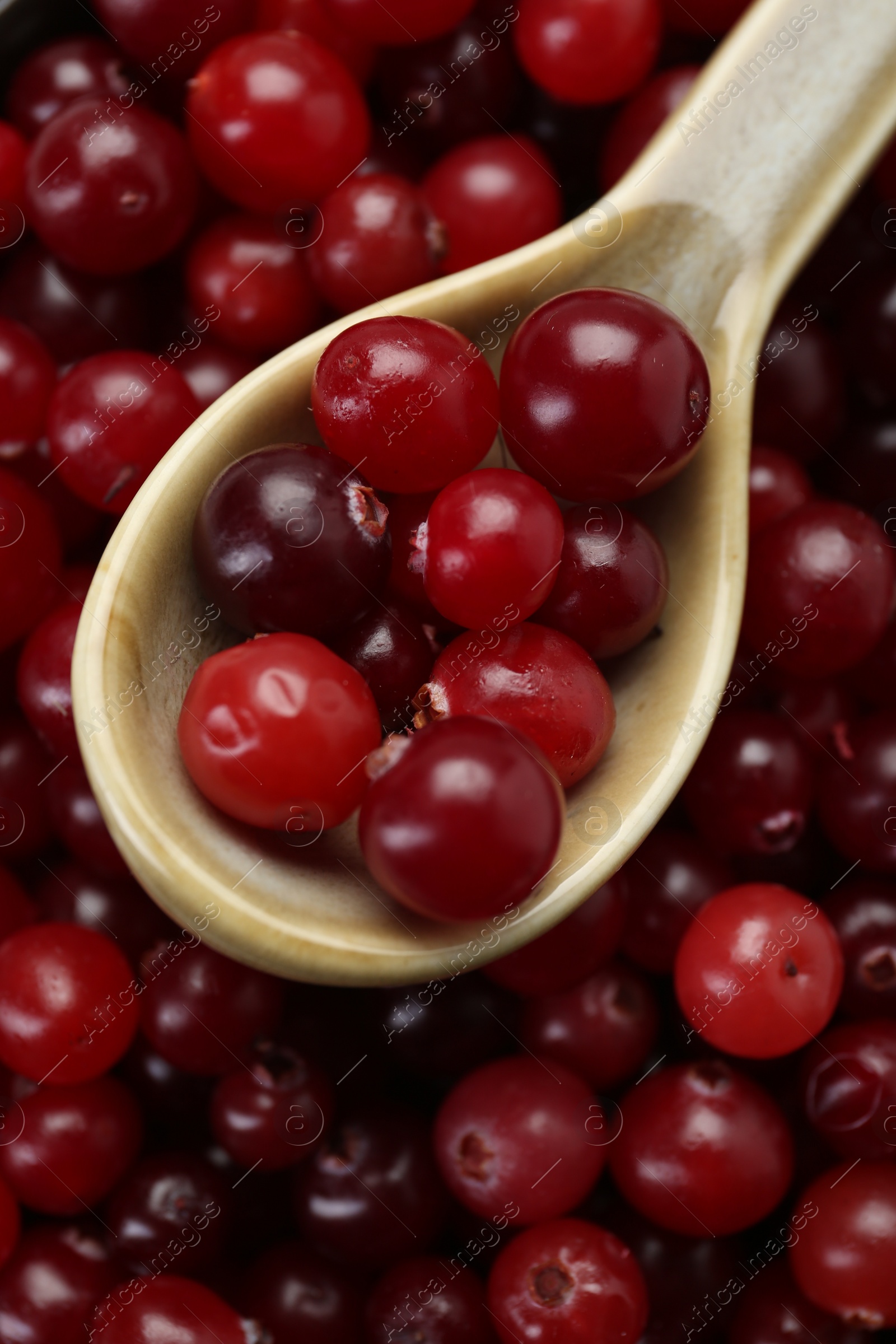 Photo of Fresh ripe cranberries and wooden spoon, closeup