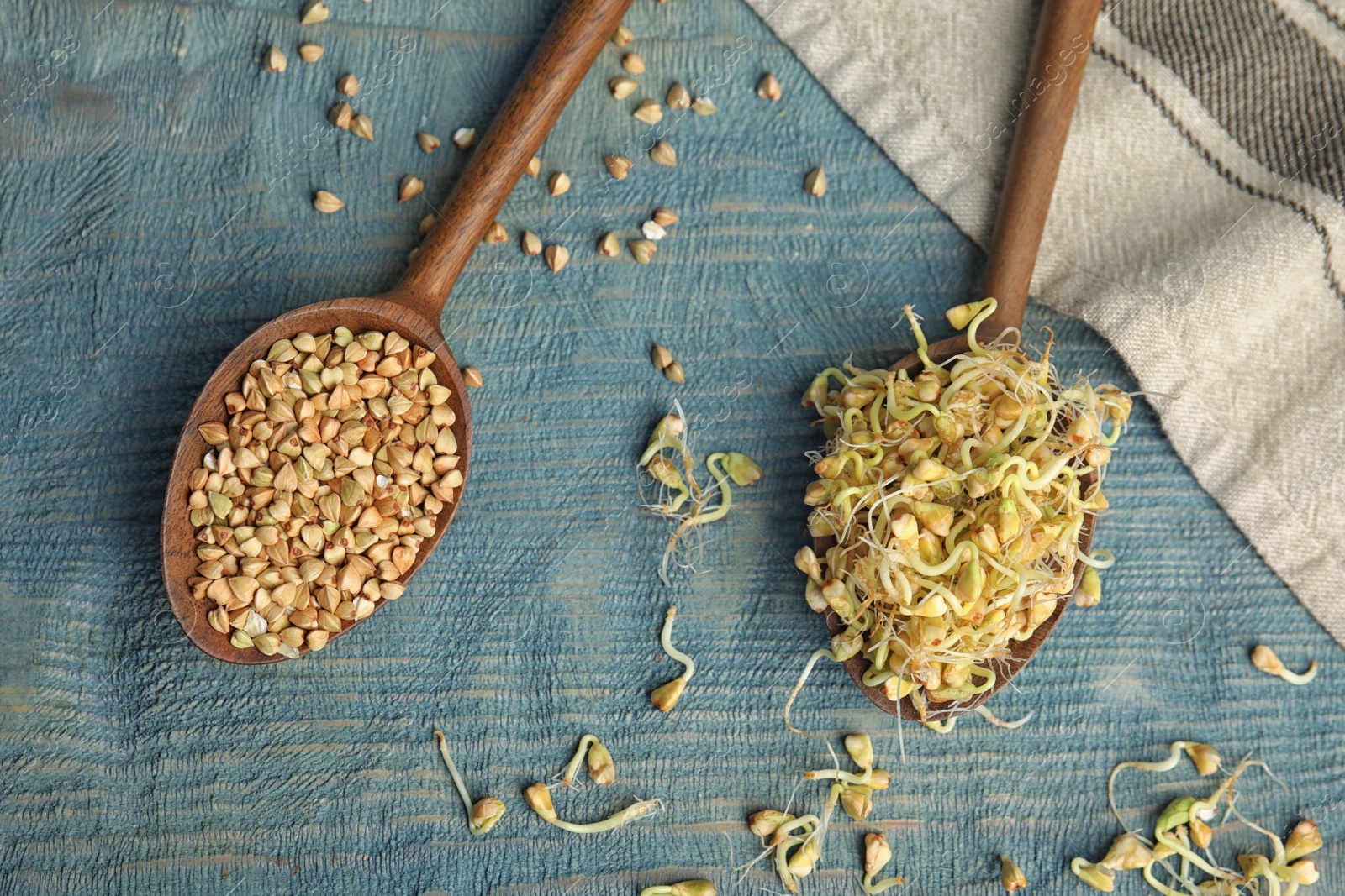 Photo of Flat lay composition with green buckwheat on blue wooden table