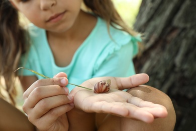Photo of Girl playing with cute snail outdoors, closeup. Child spending time in nature