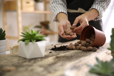 Photo of Woman planting succulents at wooden table indoors, closeup