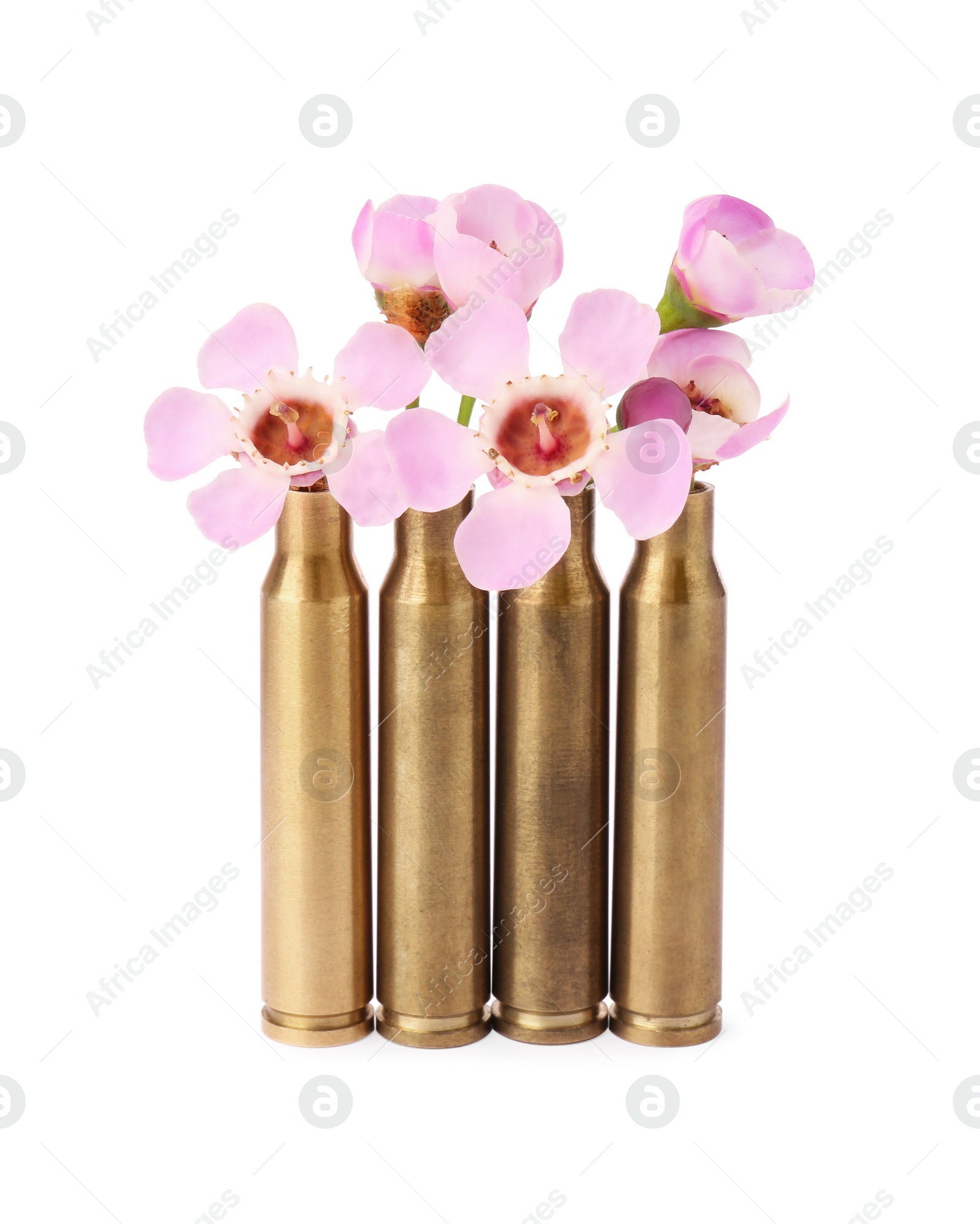 Photo of Beautiful flowers in bullet cases isolated on white