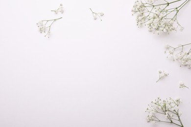 Photo of Beautiful gypsophila flowers on white background, flat lay. Space for text