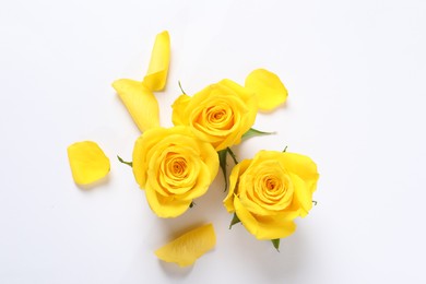 Beautiful yellow roses on white background, flat lay